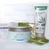 Atache Green Tea Mask - сильна антиоксидантна дія, що уповільнює процеси старіння шкіри